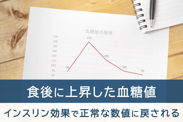 食後に上昇した血糖値、インスリン効果で正常な数値に戻される