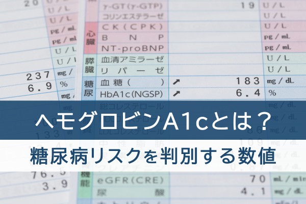 ヘモグロビンA1cとは？糖尿病リスクを判別する数値