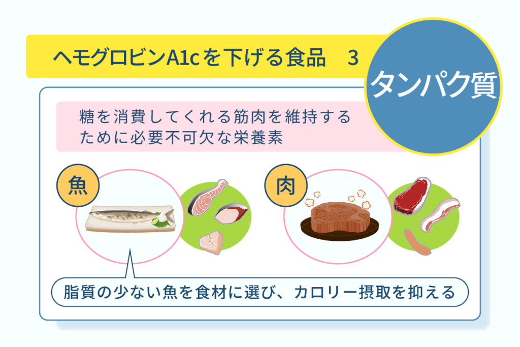 ヘモグロビンA1cを下げる食品３タンパク質