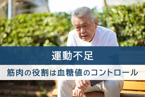 運動不足。筋肉の役割は血糖値のコントロール