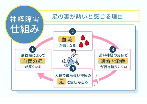 神経障害の仕組み