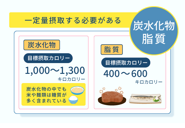 一定量摂取する必要がある炭水化物・脂質