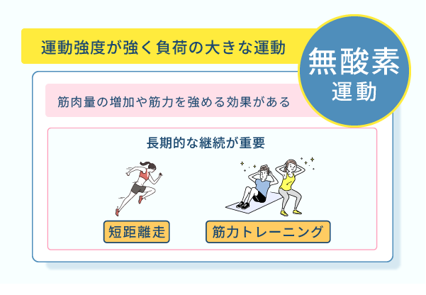 運動強度が強く負荷の大きな運動、無酸素運動