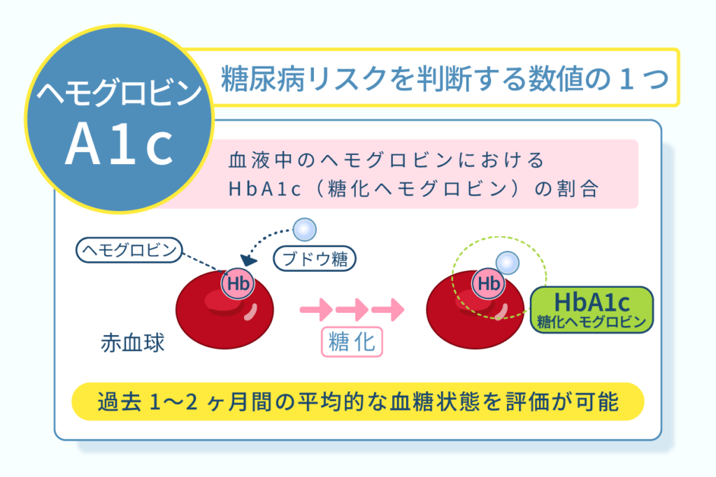 ヘモグロビンA1cは糖尿病リスクを判断する数値の１つ