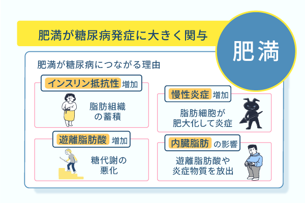 肥満が糖尿病発症に大きく関与