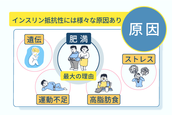 インスリン抵抗性には様々な原因あり