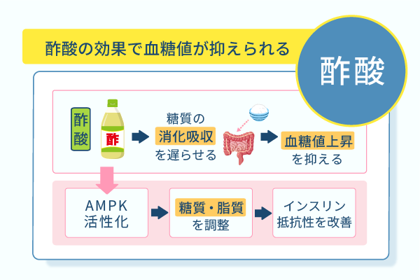 酢酸の効果で血糖値が抑えられる