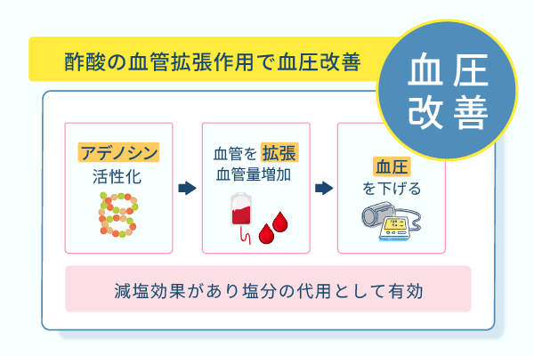 酢酸の血管拡張作用で血圧改善