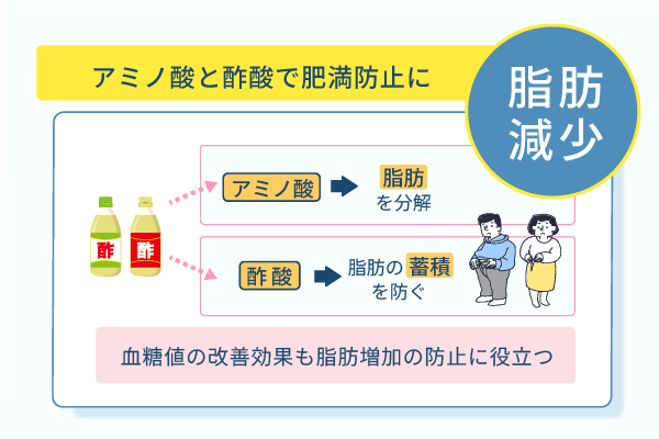 アミノ酸と酢酸で肥満防止に