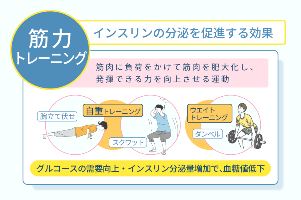 筋力トレーニングはインスリンの分泌を促進する効果