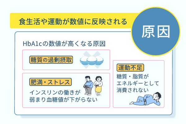 食生活や運動が数値に反映される