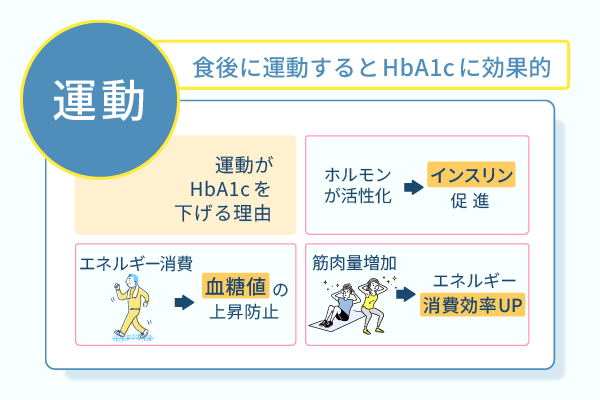 食後に運動するとHbA1cに効果的