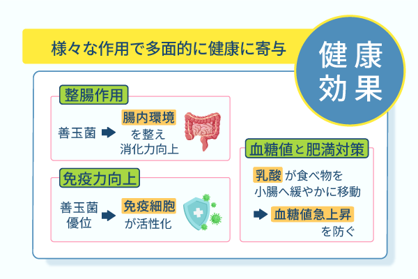 様々な作用で多面的に健康に寄与