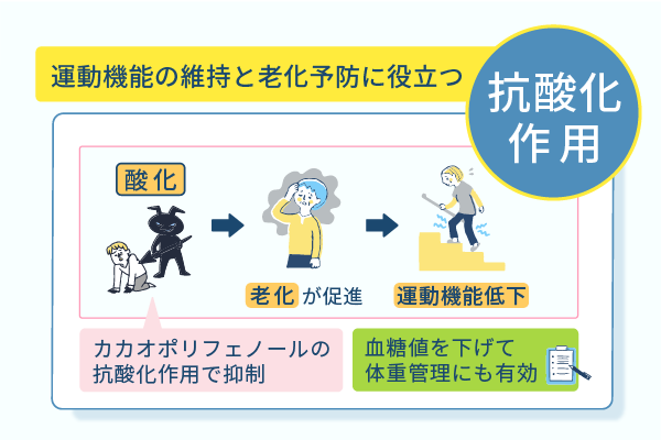 運動機能の維持と老化予防に役立つ