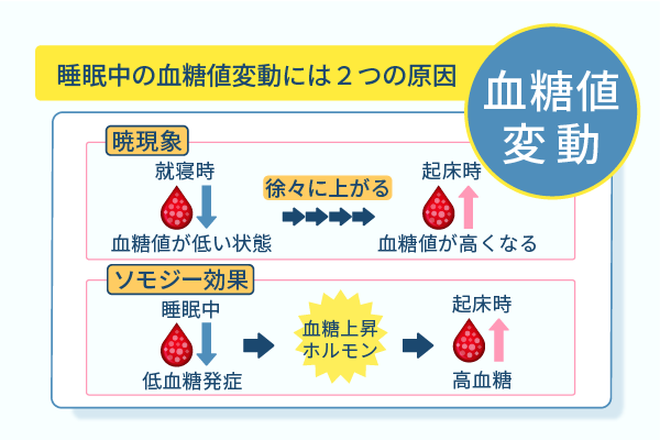 睡眠中の血糖値変動には2つの原因