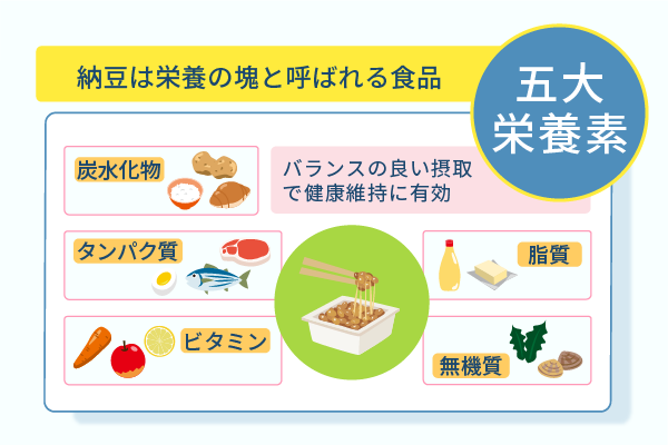 納豆は栄養の塊と呼ばれる食品