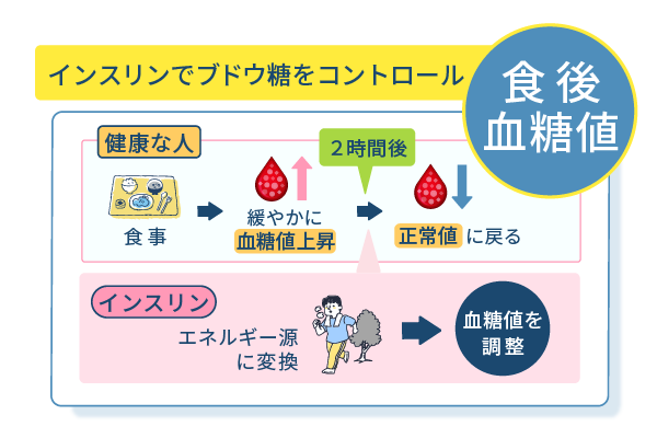 インスリンでブドウ糖をコントロール