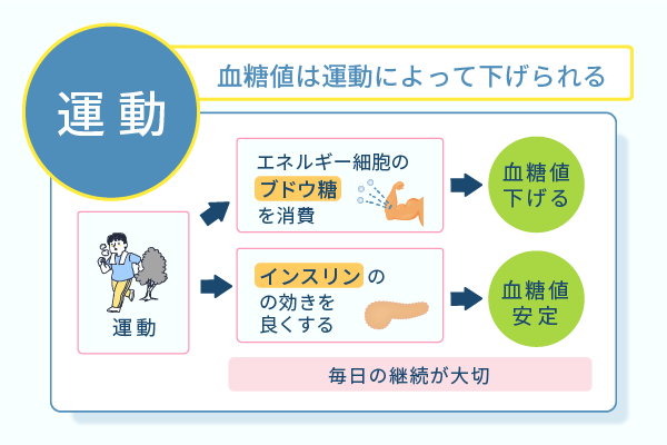 血糖値は運動によって下げられる