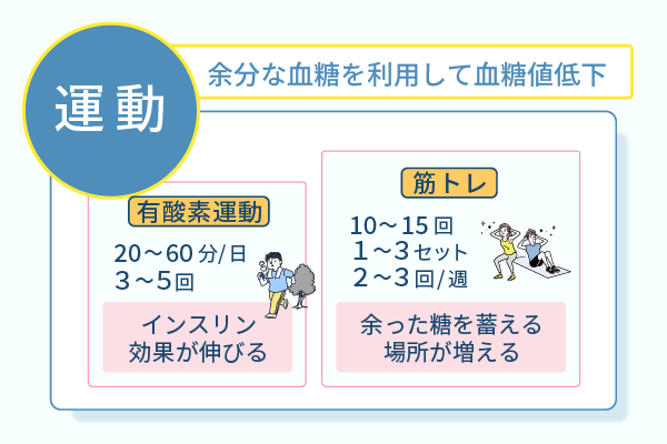 余分な血糖を利用して血糖値低下
