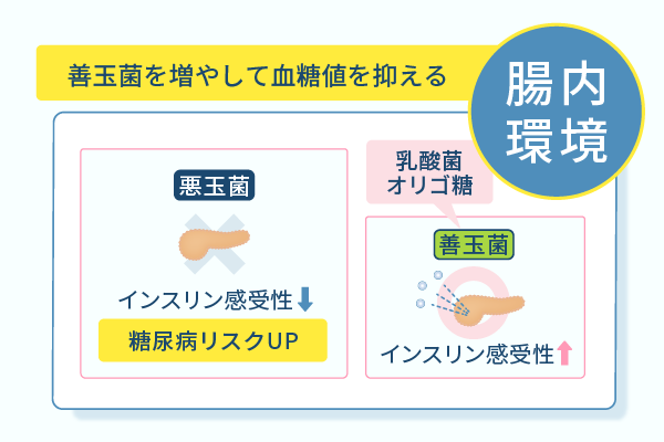 善玉菌を増やして血糖値を抑える