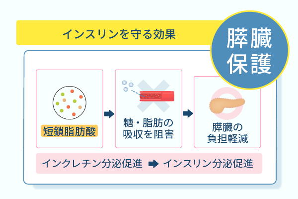インスリンを守る効果