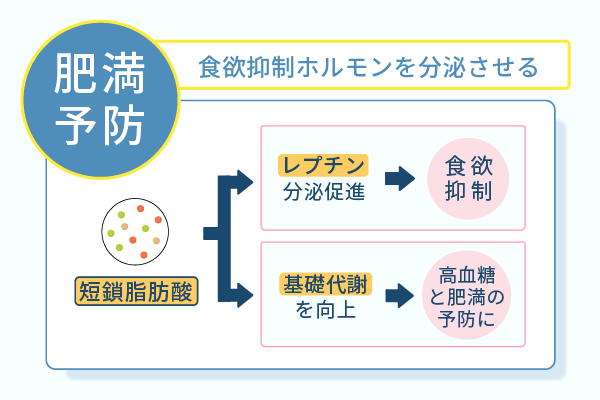食欲抑制ホルモンを分泌させる