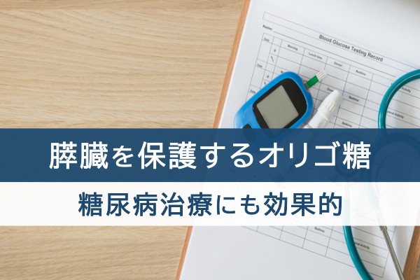 膵臓を保護するオリゴ糖。糖尿病治療にも効果的