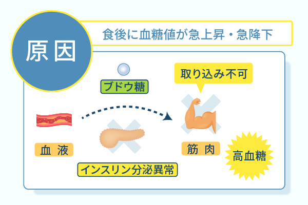 食後に血糖値が急上昇・急降下