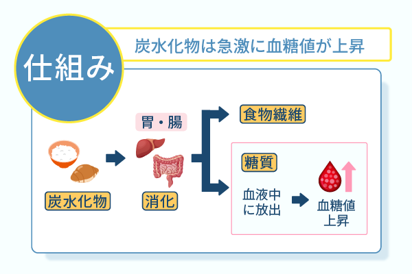 炭水化物は急激に血糖値が上昇