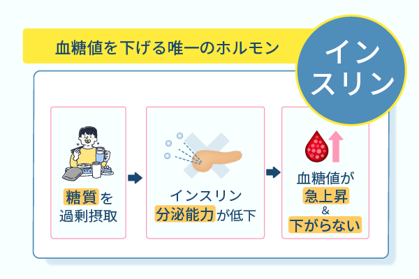 血糖値を下げる唯一のホルモン