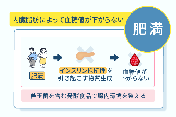 内臓脂肪によって血糖値が下がらない