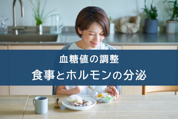 血糖値の調整。食事とホルモンの分泌