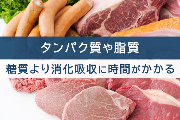 タンパク質や脂質。糖質より消化吸収に時間がかかる