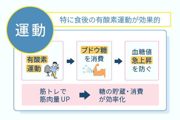 特に食後の有酸素運動が効果的
