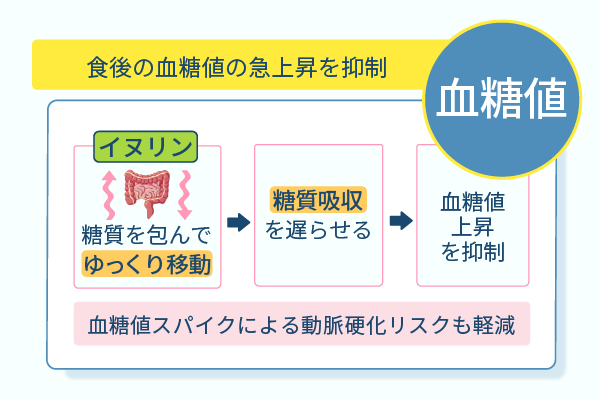 食後の血糖値の急上昇を抑制