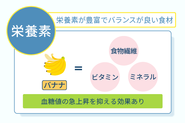 栄養素が豊富でバランスが良い食材
