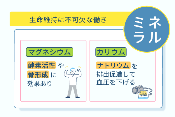 生命維持に不可欠な働き