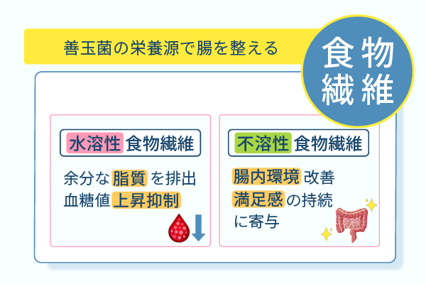 善玉菌の栄養源で腸を整える