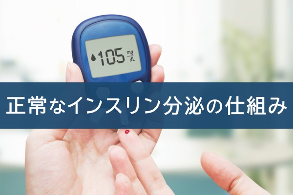 正常なインスリン分泌の仕組み