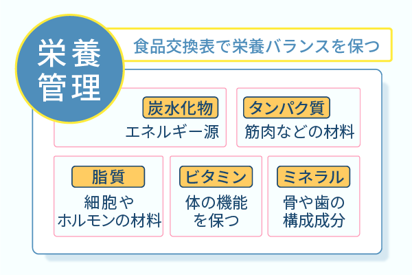 食品交換表で栄養バランスを保つ