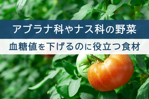 アブラナ科やナス科の野菜。血糖値を下げるのに役立つ食材
