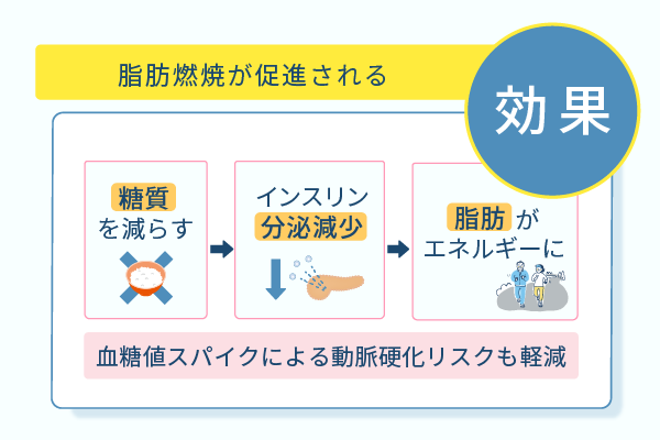 脂肪燃焼が促進される