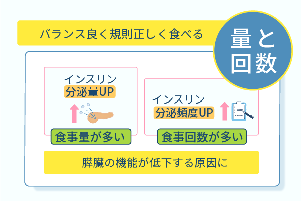 バランス良く規則正しく食べる