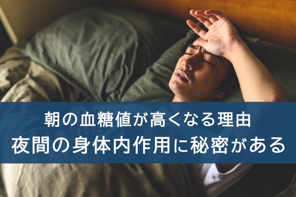 朝の血糖値が高くなる理由。夜間の身体内作用に秘密がある