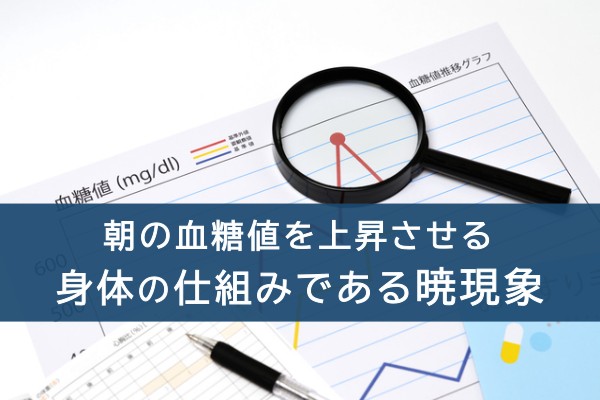 朝の血糖値を上昇させる身体の仕組みである暁現象
