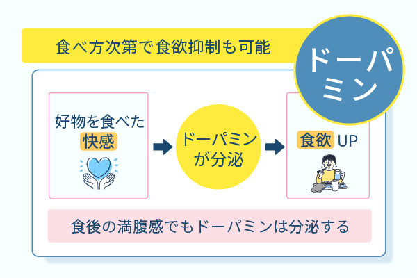 食べ方次第で食欲抑制も可能
