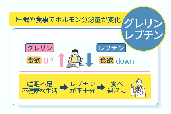 睡眠や食事でホルモン分泌量が変化