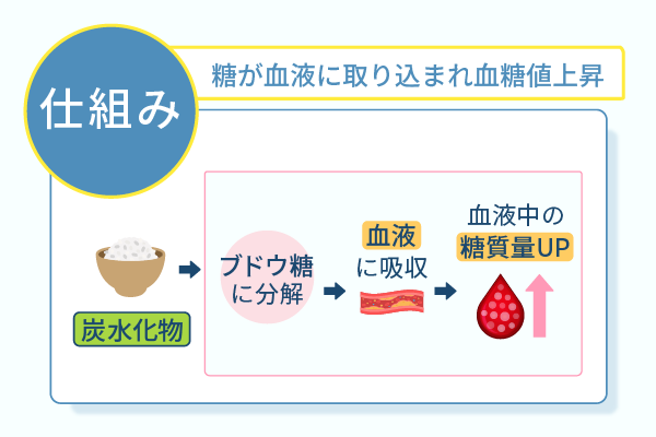糖が血液に取り込まれ血糖値上昇