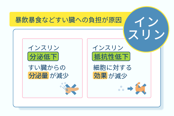 暴飲暴食などすい臓への負担が原因