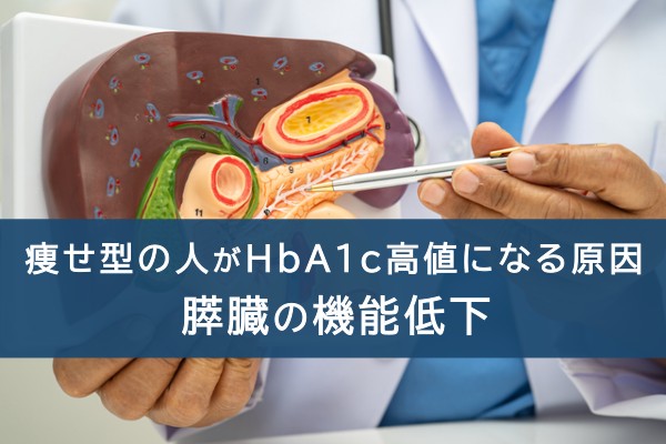 瘦せ型の人がHbA1c高値になる原因。膵臓の機能低下